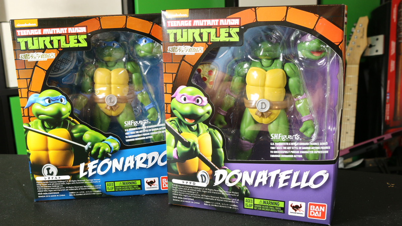Box Turtles.